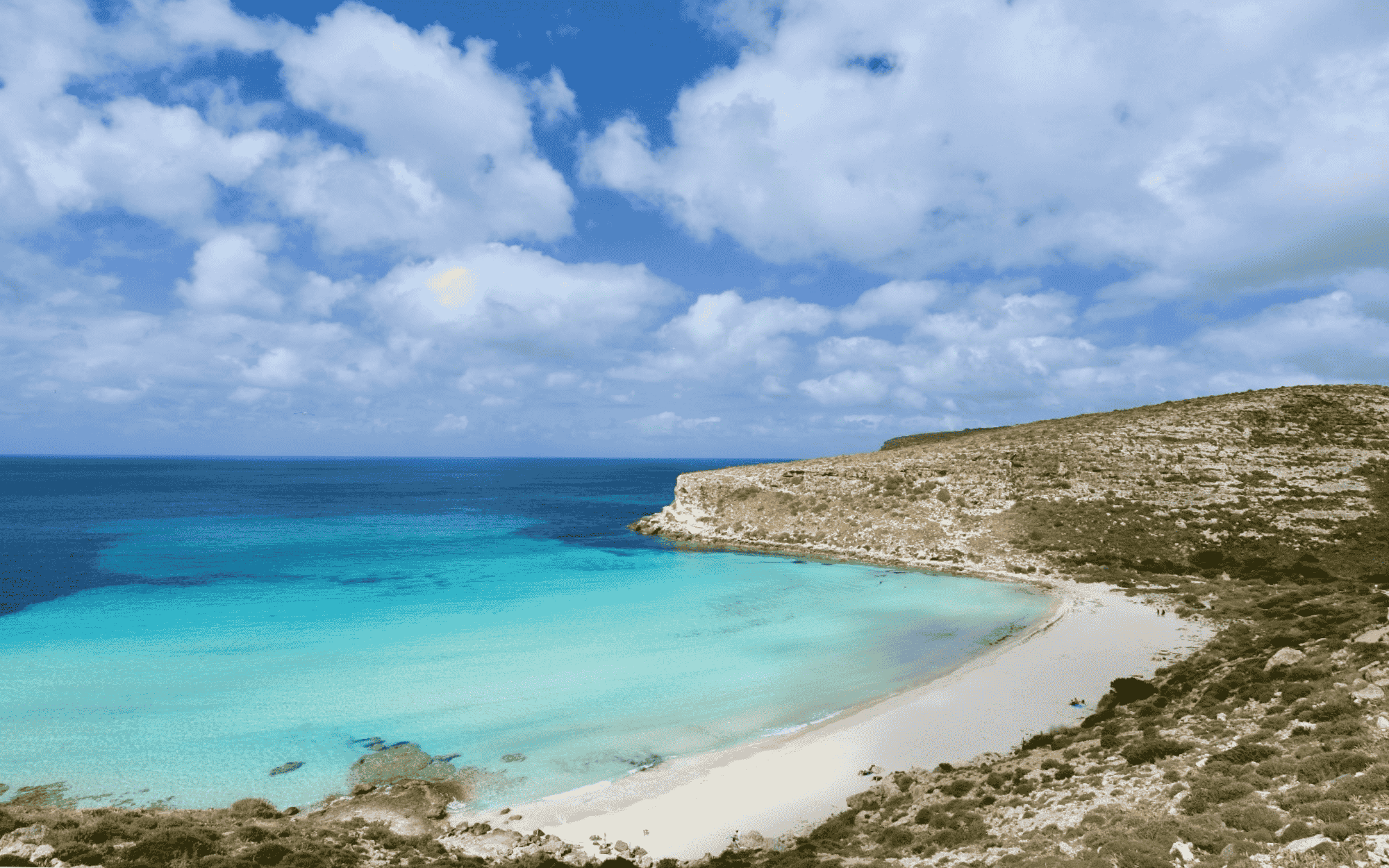 Contatti WeGoLampedusa